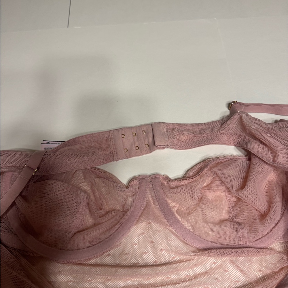 Victoria Secret Pink Lace Bodysuit. New. - Picture 3 of 6